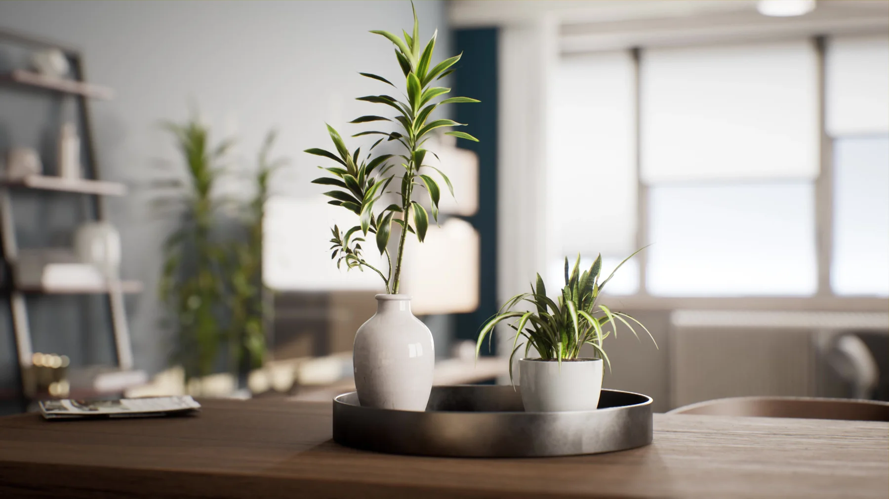観葉植物の装飾